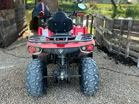 2024 Другие ATV (другие), красный, 185000 рублей, вид 5