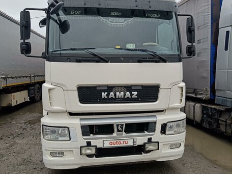 2018 КамАЗ 5490, белый, 3000000 рублей, вид 5