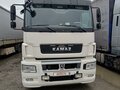 2018 КамАЗ 5490, белый, 3000000 рублей - вид 4
