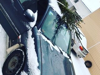 1994 Opel Omega B, розовый, 150000 рублей, вид 5