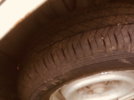 1998 Nissan Atlas, белый, 550000 рублей, вид 5