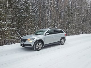 2019 Skoda Kodiaq I, серебристый, 2050000 рублей, вид 1