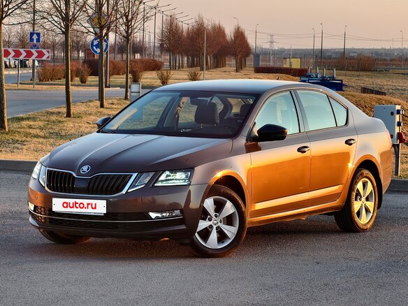 2017 Skoda Octavia III (A7) Рестайлинг, коричневый, 2459954 рублей - вид 16