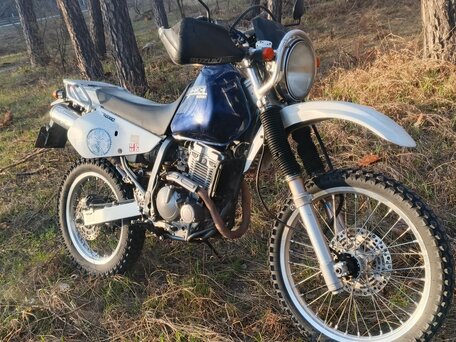 2004 Suzuki Djebel 250, синий, 300000 рублей, вид 5