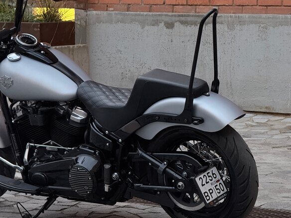 2020 Harley-Davidson Softail Slim, серебристый, 1700000 рублей - вид 9
