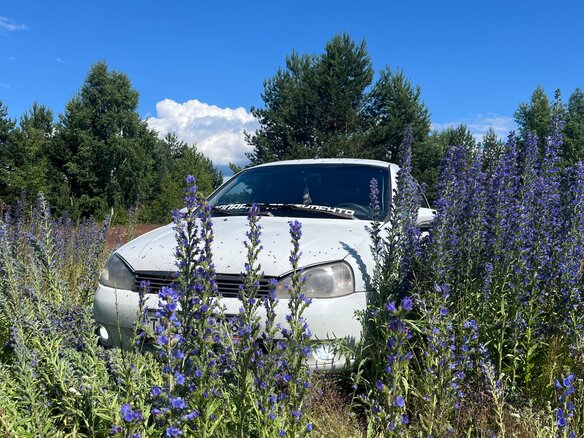2013 Lada (ВАЗ) Kalina I, белый, 260000 рублей - вид 5