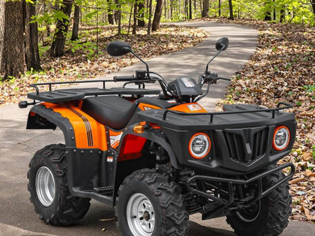 2025 VLTMoto DL250AU, оранжевый, 299000 рублей, вид 1