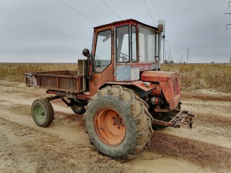 1978 ХТЗ Т-16, красный, 180000 рублей, вид 1