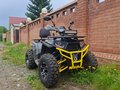 2025 ABM ATV-150, жёлтый, 250000 рублей