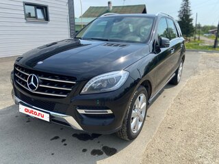 2014 Mercedes-Benz M-Класс 300 III (W166), чёрный, 2500000 рублей, вид 1