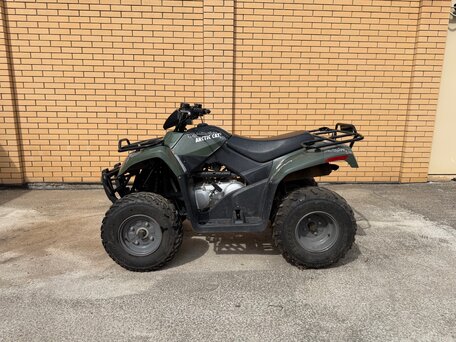 2011 Arctic Cat 300 Series, зелёный, 530000 рублей, вид 1