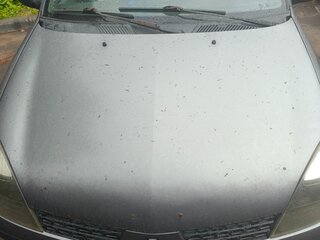 2002 Renault Clio II Рестайлинг, серый, 205000 рублей, вид 4
