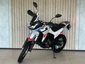 2026 Loncin DS250, белый, 258000 рублей - вид 2