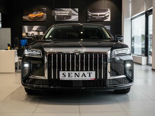 2026 Senat 900, чёрный, 12500000 рублей, вид 3
