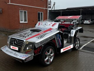 2013 Другие ATV (другие), красный, 1250000 рублей, вид 4