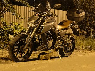 2020 Regulmoto Alien Monster, серый, 300000 рублей, вид 4