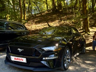 2018 Ford Mustang VI Рестайлинг, чёрный, 2400000 рублей, вид 1
