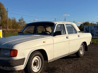 1995 ГАЗ 31029 «Волга», серый, 85000 рублей, вид 1