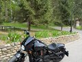 2024 Indian Scout, чёрный, 1930000 рублей
