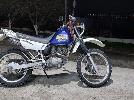 1998 Suzuki Djebel 200, синий, 190000 рублей, вид 5