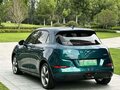 2023 Ora Good Cat 47.8 kWh I, зелёный, 1550000 рублей - вид 3