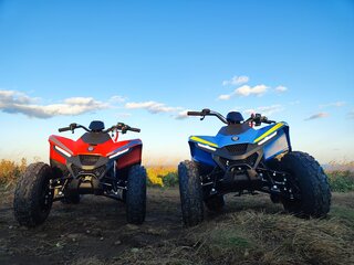 2025 Другие ATV (другие), красный, 115000 рублей, вид 4
