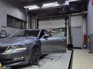 2019 Skoda Octavia III (A7) Рестайлинг, серый, 3000000 рублей, вид 2