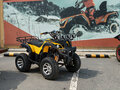 2026 Tiger Sport 250, жёлтый, 237900 рублей - вид 1
