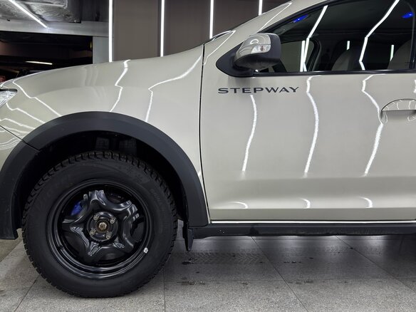 2020 Renault Sandero Stepway II Рестайлинг, серый, 1130000 рублей - вид 14