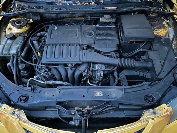 2003 Mazda 3 I (BK), жёлтый, 100000 рублей - вид 6