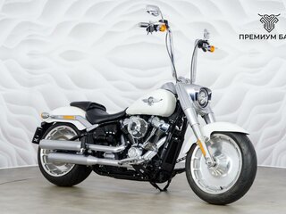 2019 Harley-Davidson Fat Boy, белый, 1949000 рублей, вид 5