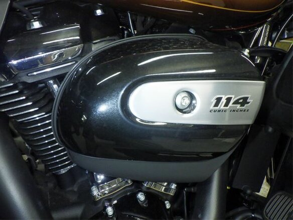 2024 Harley-Davidson Ultra Limited, коричневый - вид 12