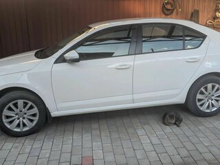 2015 Skoda Octavia III (A7), белый, 1080000 рублей, вид 2