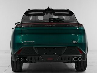 2024 Dongfeng Mage, зелёный, 2850000 рублей, вид 5