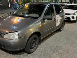 2010 Lada (ВАЗ) Kalina I, серый, 142000 рублей, вид 2