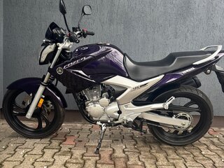 Yamaha FZR250