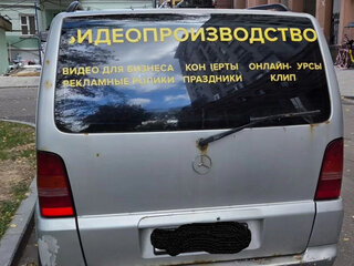 1999 Mercedes-Benz V-Класс 230 I (W638), серебристый, 555555 рублей, вид 4