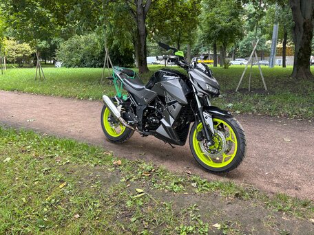 2025 Yamasaki Scorpion, серый, 170000 рублей, вид 5
