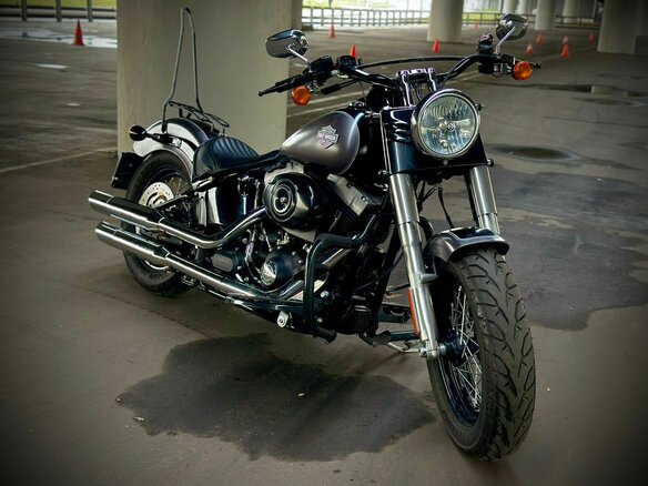 2014 Harley-Davidson Softail Slim, серый, 950000 рублей - вид 17
