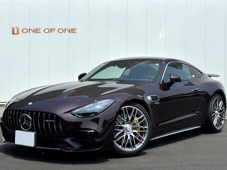 2024 Mercedes-Benz AMG GT 43 II, красный, 14000000 рублей, вид 1
