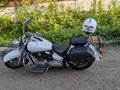 2001 Yamaha XVS1100, белый, 565000 рублей - вид 6