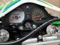 2025 Racer Panther, зелёный, 115000 рублей - вид 1