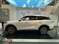 2025 Chery Tiggo 9 I, белый - вид 6