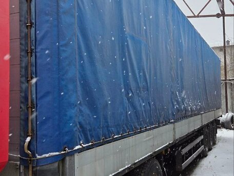2006 Schmitz Cargobull S01, синий, 870000 рублей, вид 3