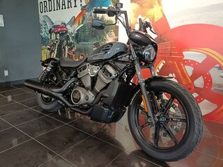2022 Harley-Davidson Nightster, серый, 1077000 рублей, вид 5