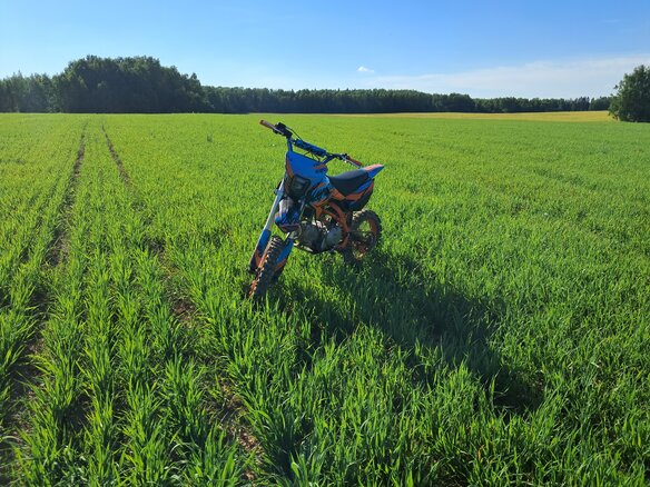 2024 Kayo Evolution YX140EM, оранжевый, 70000 рублей - вид 7