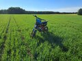 2024 Kayo Evolution YX140EM, оранжевый, 70000 рублей - вид 7