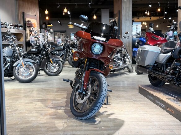 2024 Harley-Davidson Low Rider ST, коричневый, 2950000 рублей - вид 6