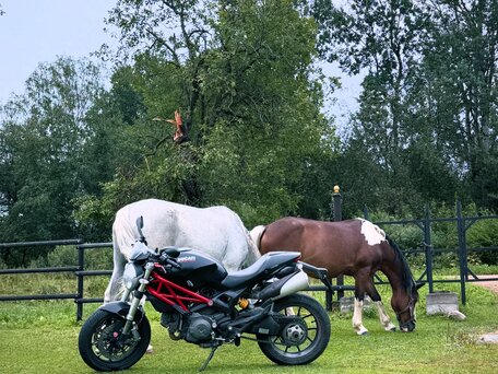 2014 Ducati Monster 796, чёрный, 450000 рублей, вид 2