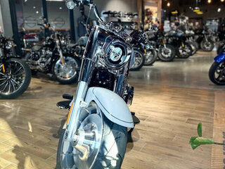 2025 Harley-Davidson Fat Boy, серебристый, 3850000 рублей, вид 5
